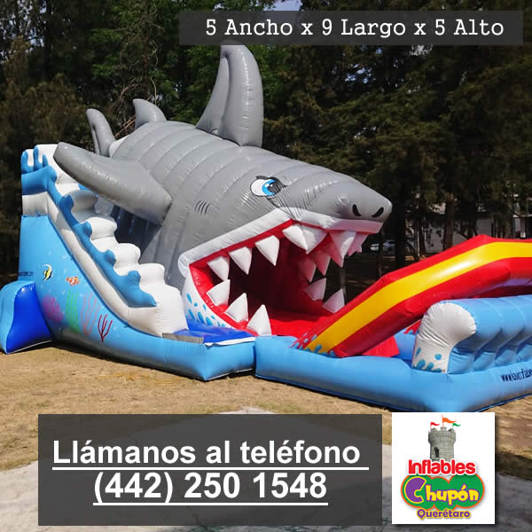 03 | inflable acuatico | renta | Querétaro | el tiburón tigre
